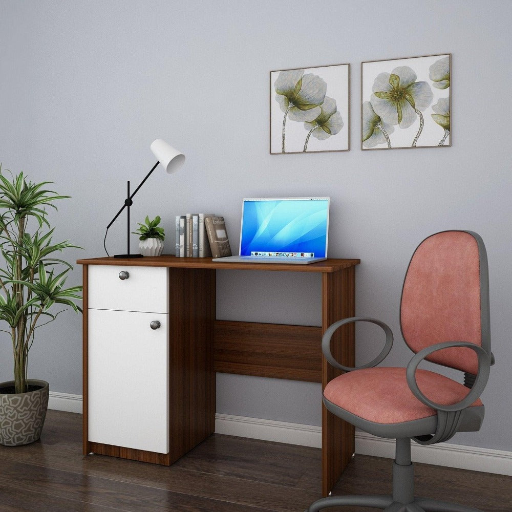 Rollex Study Table in Multi Color