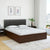 Unline Wood Luxury Upholstered Bed in Leatherette