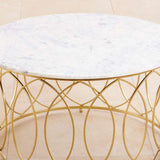 Macro Center Table in Gold Finish