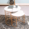 Nature Lover Golden Nesting Table Set of Two - Center Table.