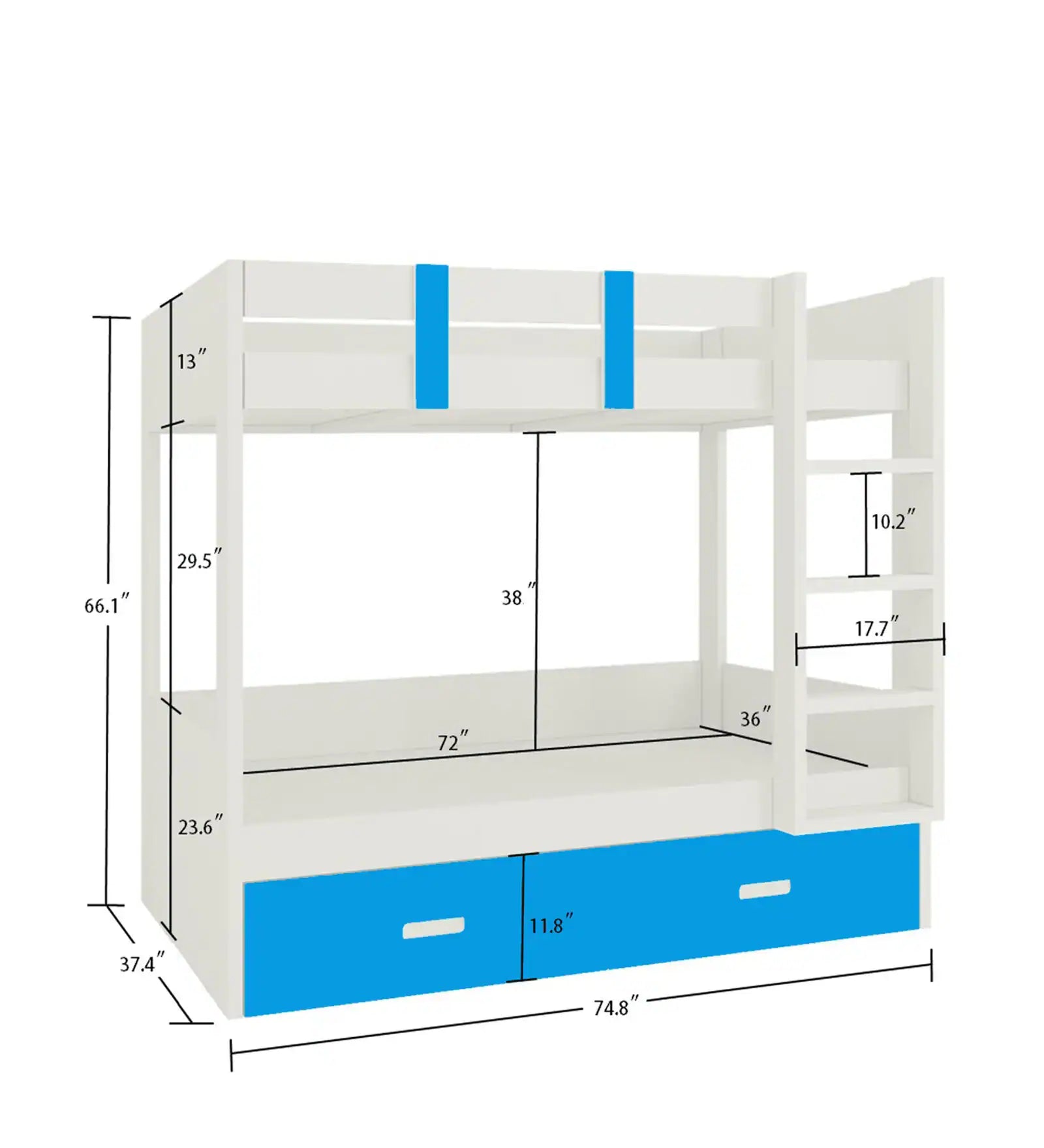 Adona Bunk Bed In White - Luxe Maple