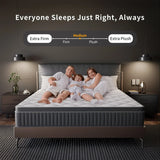 Coil Spring Mattress By Luxe Maple - 8 Inches