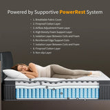 Coil Spring Mattress By Luxe Maple - 8 Inches